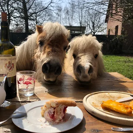 Séjour chez l'habitant La Ferme